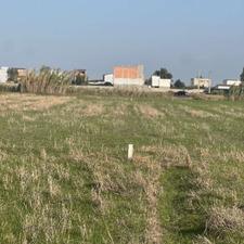 فروش زمین کشاورزی 400 متر در فرح آباد شمالی