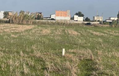 فروش زمین کشاورزی 400 متر در فرح آباد شمالی