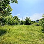 500 متر مین شهرکی/بافت مسکونی/سند نارنج بن