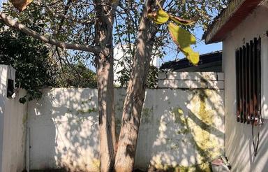 اجاره ویلا 150 متر در مرکز شهر