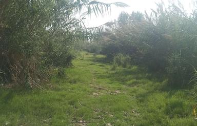 زمین کشاورزی 3,400 متر در مرکزشهر