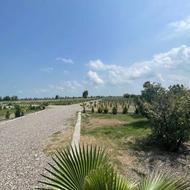 فروش زمین مسکونی 218 متر سنددار اقساط