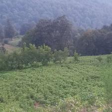 زمین 2,000 متری با موقعیت بسیار عالی با چشمه اختصاصی