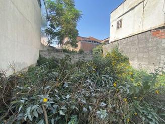 فروش زمین مسکونی 100 متر در طالب آملی