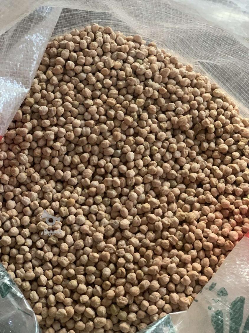 نخود ممتاز کرمانشاه