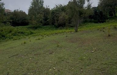 فروش زمین 2500 متر در سالار دره