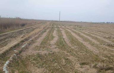 فروش دامداری و کشاورزی 30000 متر در ارزفون