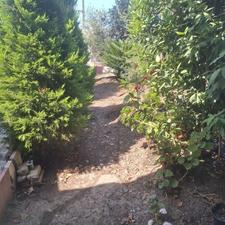 فروش زمین کشاورزی 400 متر در جاده بابل-بهنمیر