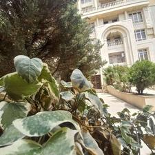 اجاره آپارتمان 210 متر در سعادت آباد صراف شمالی