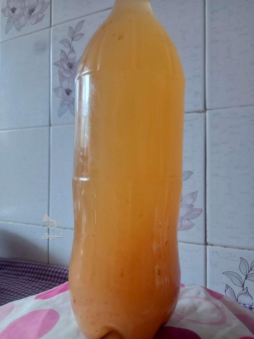 سرکه سیب ارگانیک