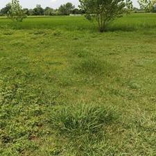 فروش 257 متر زمین مسکونی دارای پروانه ساخت دو طبقه | شیرمحله