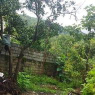 فروش زمین 250 متری با بنای کلنگی اطراف واجارگاه – ویو جنگل