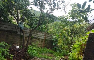 فروش زمین 250 متری با بنای کلنگی اطراف واجارگاه – ویو جنگل