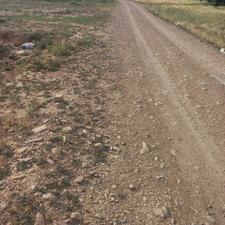 فروش زمین کشاورزی 3500 متری مزرعه شوراکت