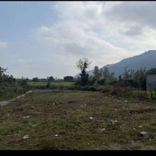 فروش زمین مسکونی 252 متر در جاده لیلاکوه