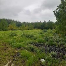 فروش زمین کشاورزی 250 متر در کلسر