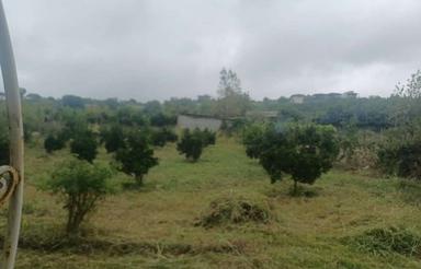 فزوش زمین با موقعیت بسیار عالی در اوایل جاده دیا