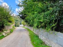 زمین‌با سند‌تک‌برگ پهنه کلا بعد از شکتا در شیپور