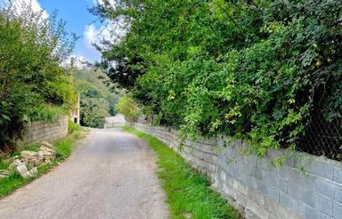 زمینبا سندتکبرگ پهنه کلا بعد از شکتا