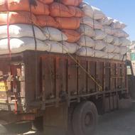 فروش کاه نخود