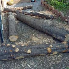 کارگر چوب بری