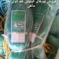 دام ماهی استاندارد