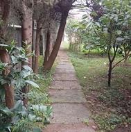 تهاتر●تهاتر●●●ویلاباغ 1500 متردرچابکسر