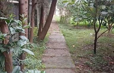 فروش و تهاتر ویلاباغ 1500 متری در چابکسر