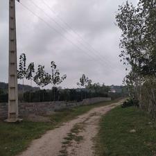 فروش زمین کشاورزی 3000متر در بابلکنار