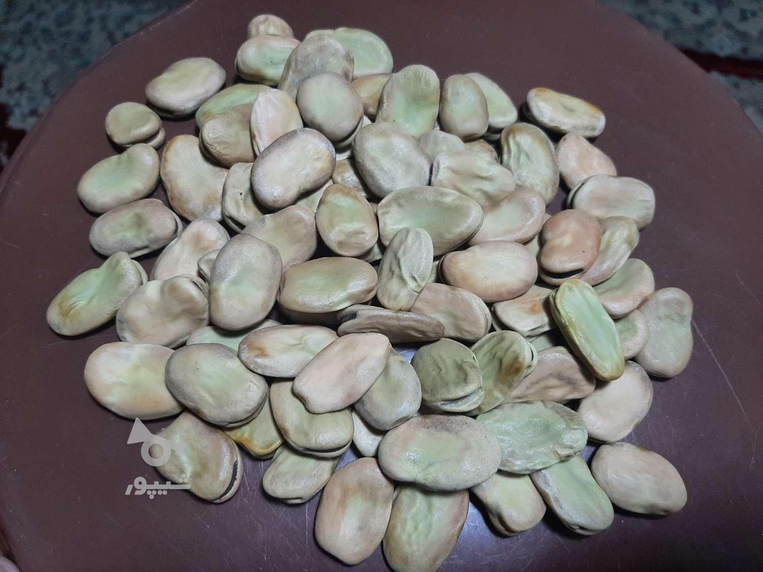 باقلا امساله خشک سه بند بذر سوری