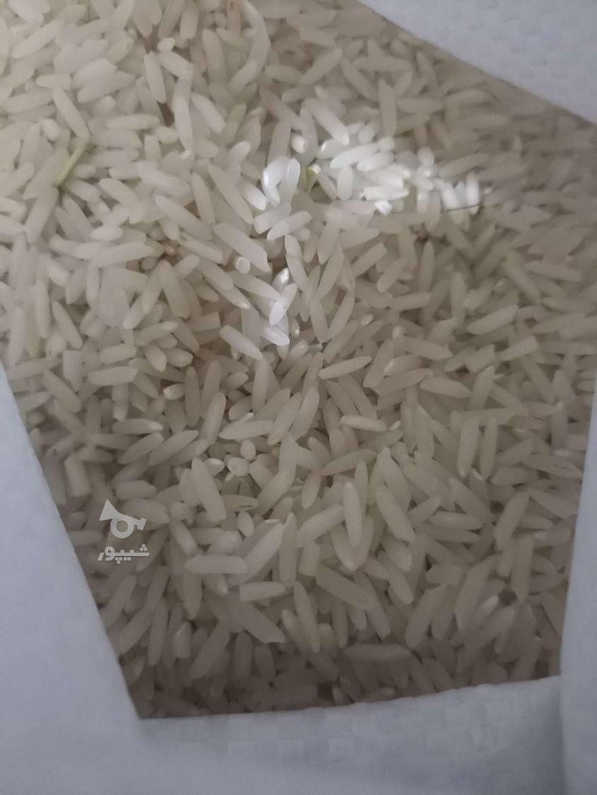 برنج طارم هاشمی دو نوج