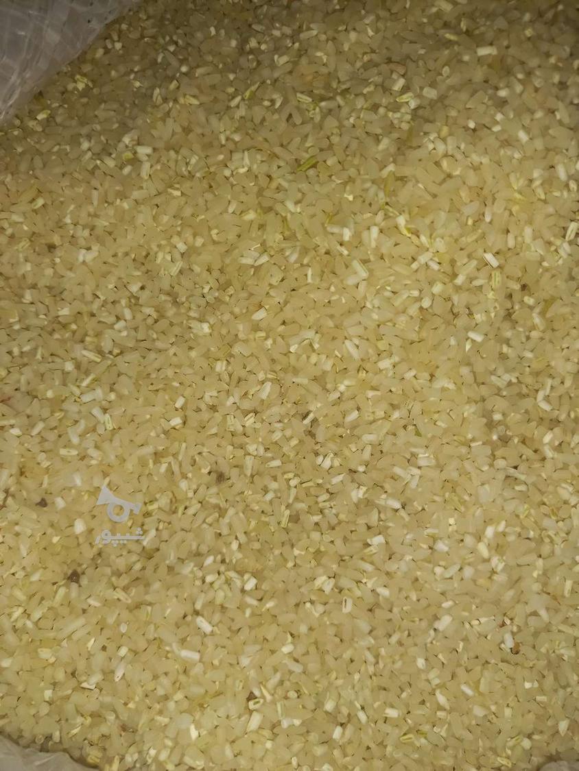 برنج طارم هاشمی دو نوج