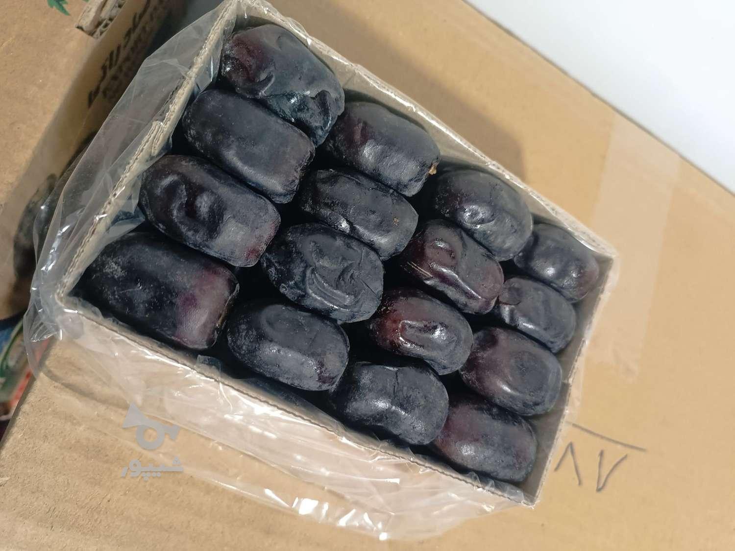 فروش مستقیم و ارزانتر از بازار خرمای مضافتی تازه بم