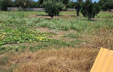 فروش زمین کشاورزی 2000 متر در داراب دین روشن