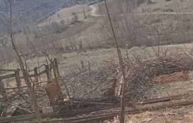 زمین مسکونی 320 متری در ایشه کوه دیلمان