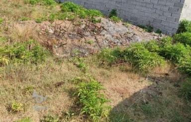 زمین مربعی شکل عالی اندیشه 52 کوچه 8 متری روب آفتاب