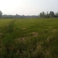 فروش زمین باغی 180 متر در ورکاده