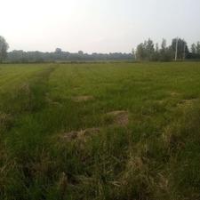 فروش زمین باغی 180 متر در ورکاده