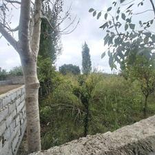 فروش زمین کشاورزی 850 متر در قوامی