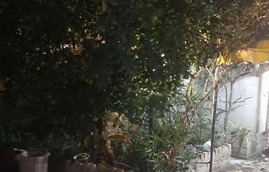 اجاره ویلا 165 متر در بلوار شیرودی