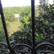 فروش زمین کشاورزی 2000 متر در مرکز شهر