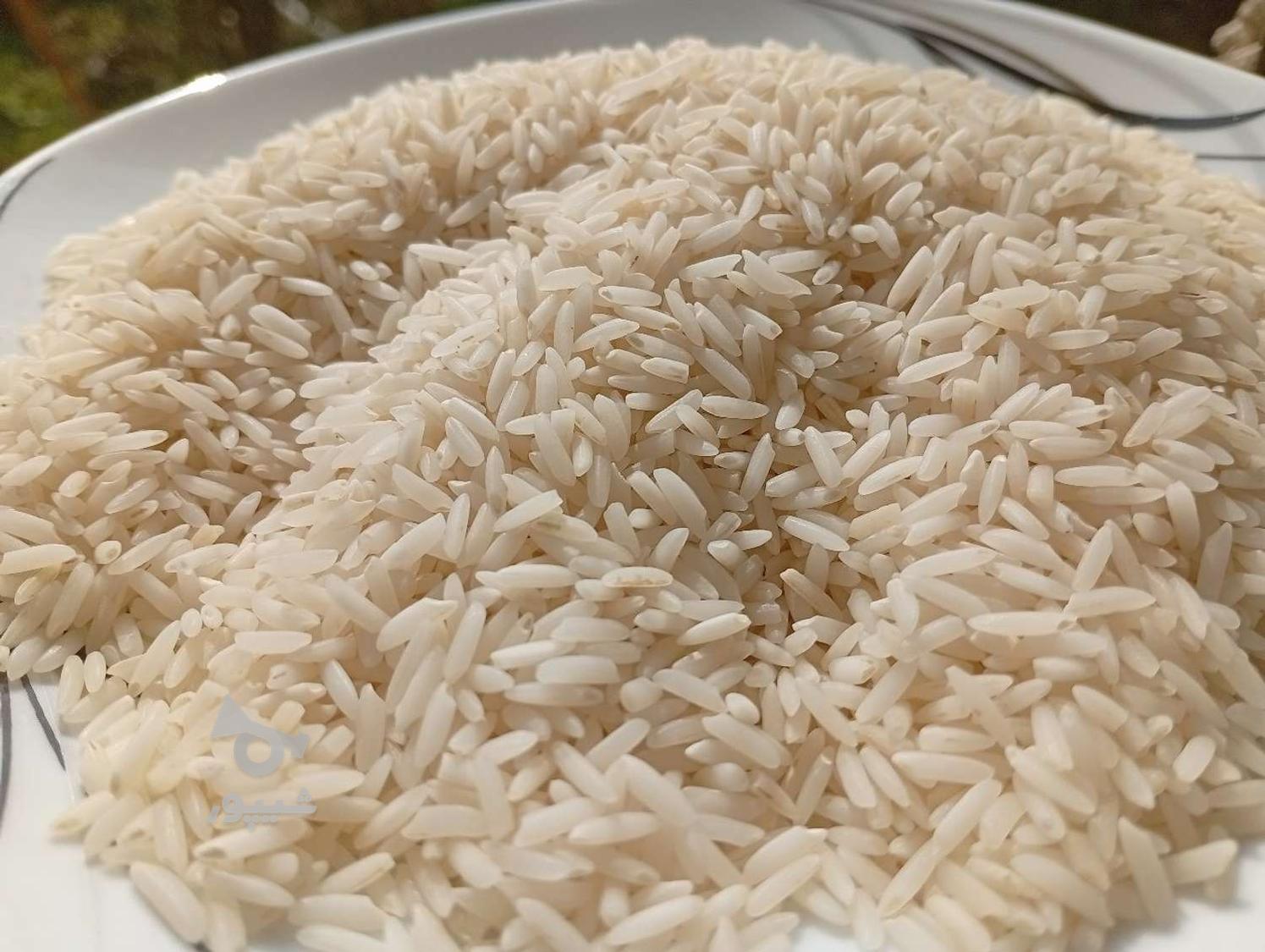 برنج علا صد درصد خالص