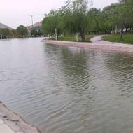 پارتنر برای پیاده روی و ورزش و تفریح هست