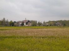 فروش زمین مسکونی 1000 متر در بالا بلگور در شیپور