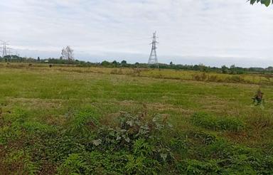 فروش زمین کشاورزی 2500 متر در گیل چالان