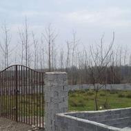 فروش زمین 800 متر در اسپند