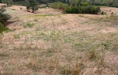 فروش زمین مسکونی 500 متر در زرین آباد سفلی