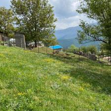 فروش زمین مسکونی 300 متر در رضوانشهر