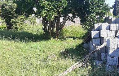 فروش زمین مسکونی 372 متر در تازه آباد - رودسر