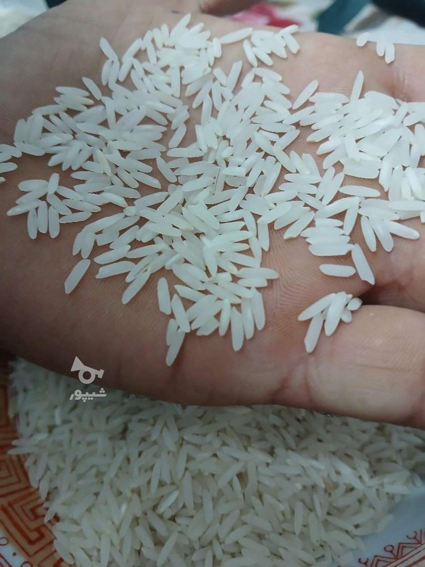 فروش کلی برنج
